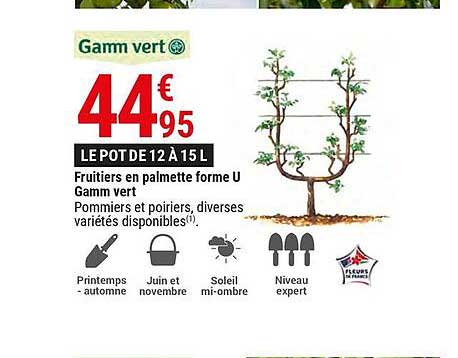 fruitiers en palmette forme u gamm vert