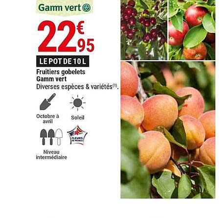 fruitiers gobelets gamm vert