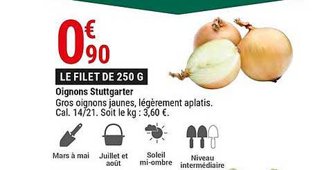 Oignons Stuttgarter