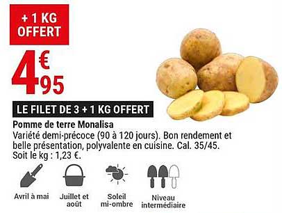 pomme de terre monalisa