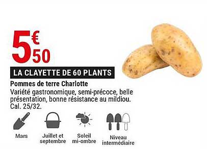 pommes de terre charlotte