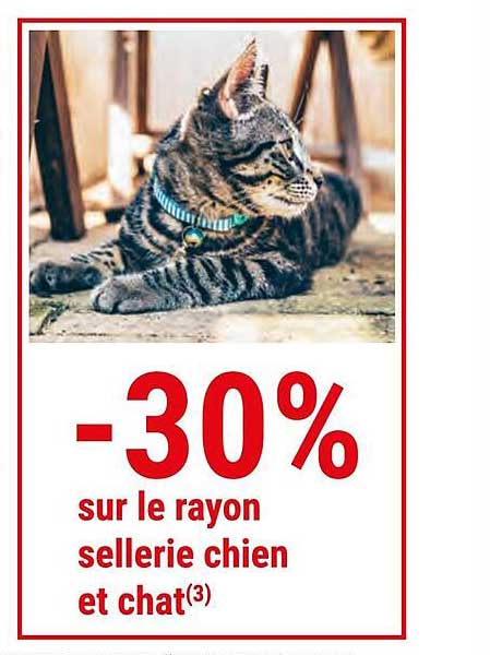 sellerie chien et chat
