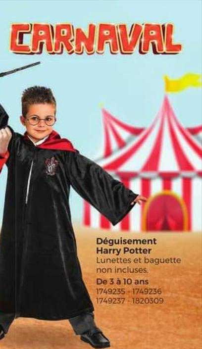 déguisement harry potter