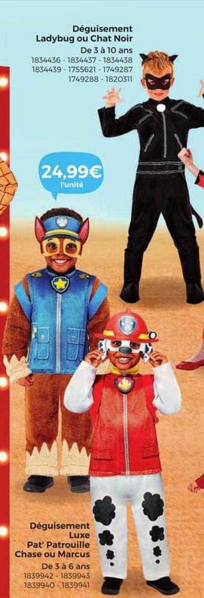 déguisement ladybug ou chat noir, déguisement luxe pat' patrouille chase ou marcus