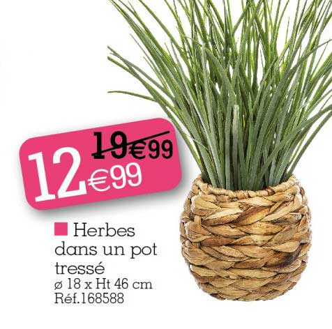 herbes dans un pot tressé