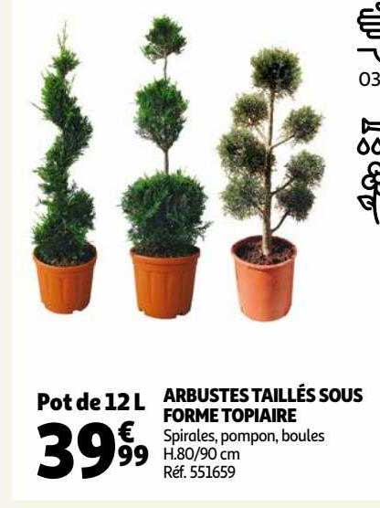 arbustes taillés sous forme topiaire