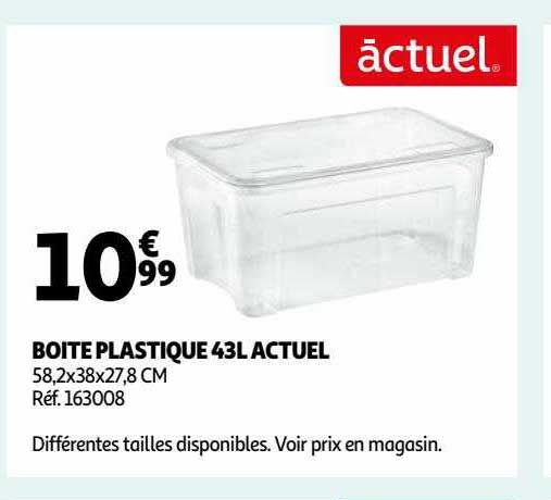 Boîte Plastique 43l Actuel