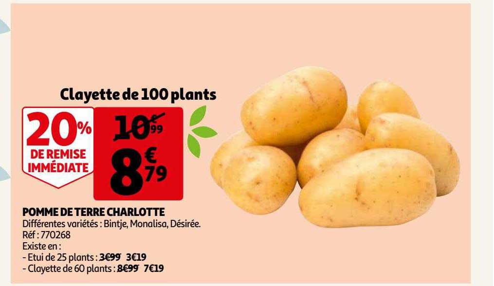pomme de terre charlotte