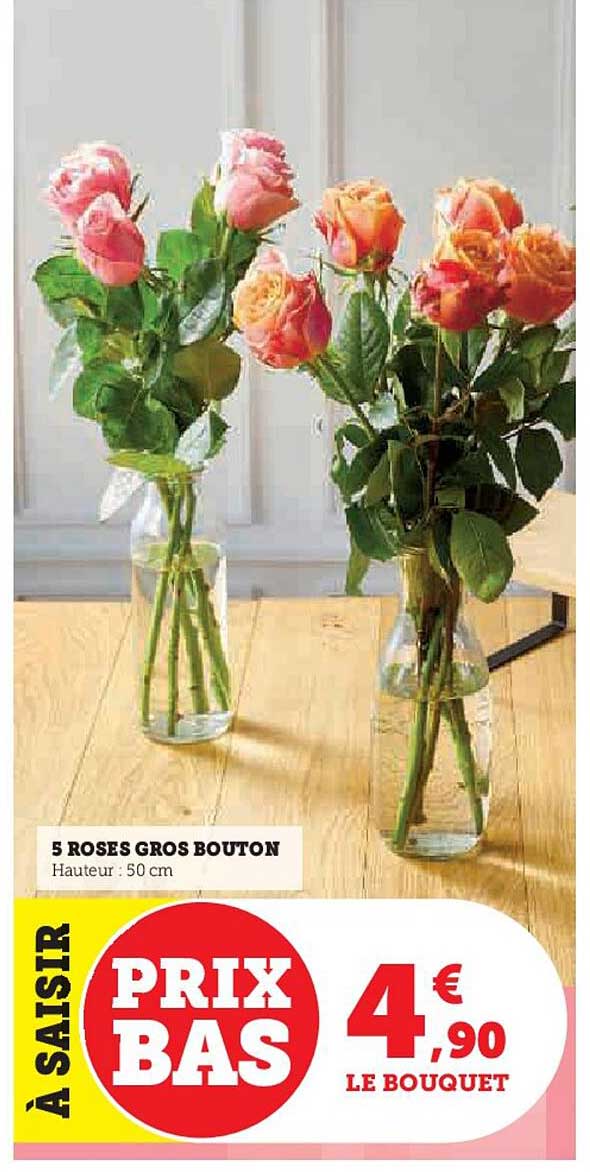 5 Roses Gros Bouton