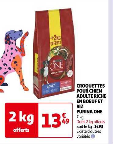 croquettes pour chien adulte riche en bœuf et riz purina one