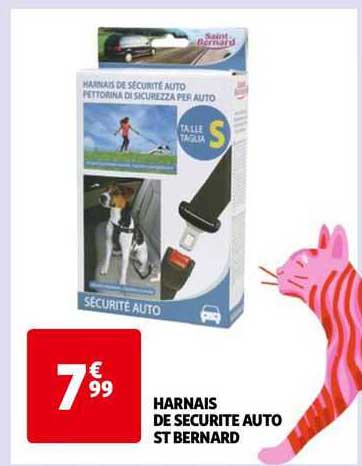 Harnais De Sécurité Auto St Bernard