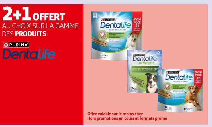 La Gamme Des Produits Purina Dentalife