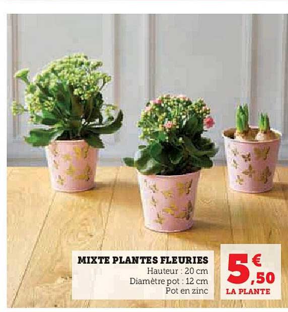mixte plantes fleuries