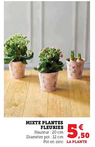 mixte plantes fleuries