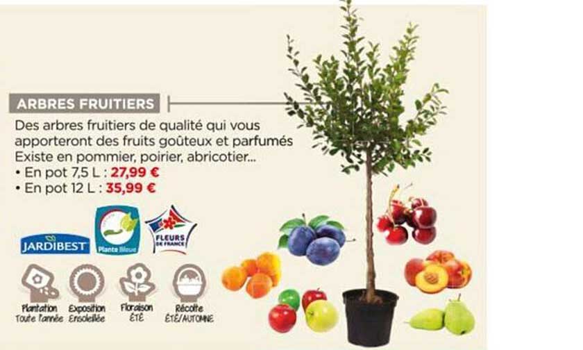 arbres fruitiers jardibest