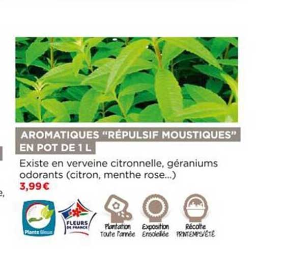 Aromatique "répulsif Moustiques" En Pot De 1l
