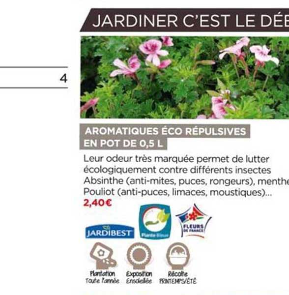 aromatiques éco répulsives  en pot de 0,5 l jardibest