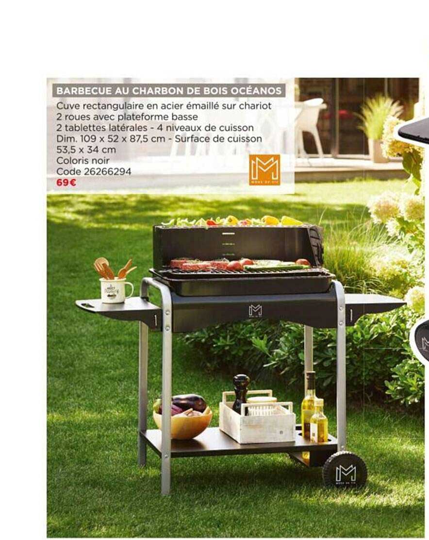 Barbecue Au Charbon De Bois Océanos