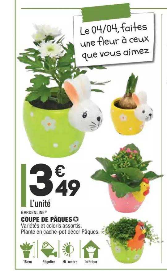 Coupe De Pâques Gardenline