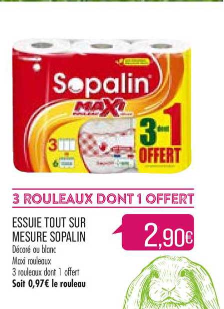 essuie tout sur mesure sopalin