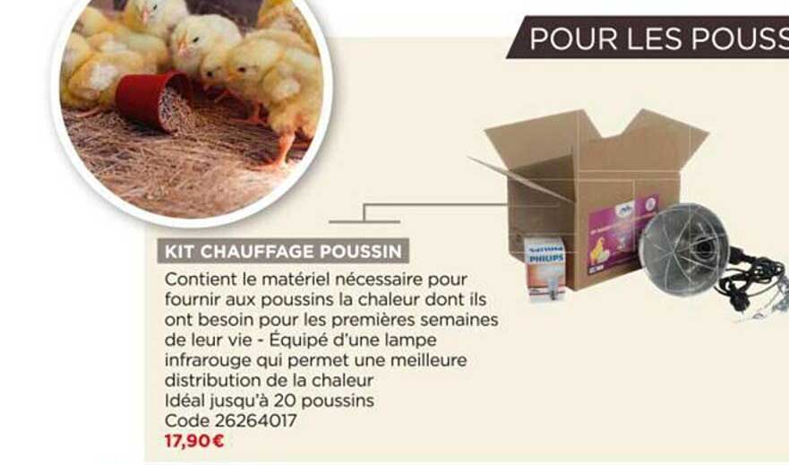 kit chauffage poussin