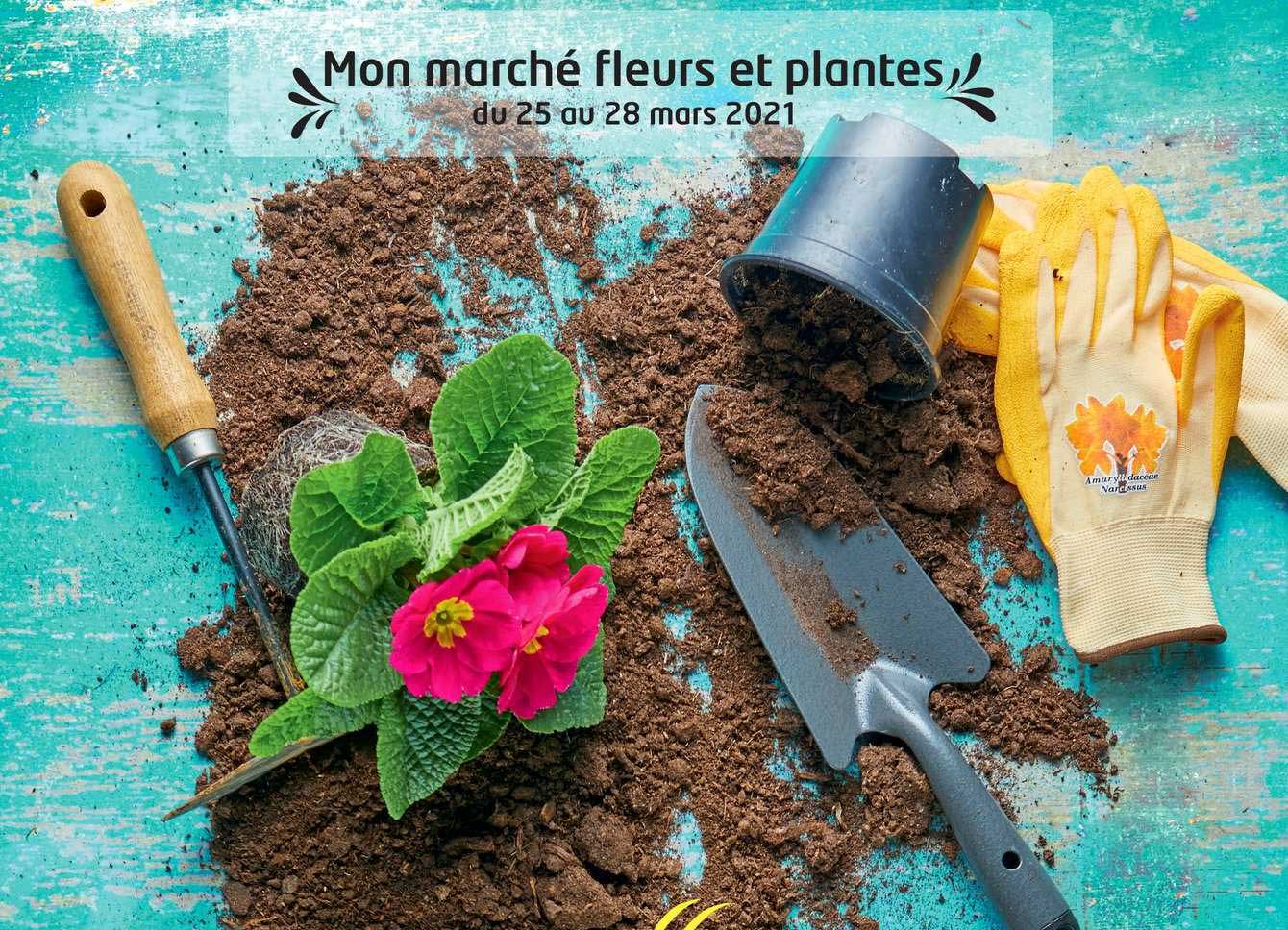 mon marché fleurs et plantes