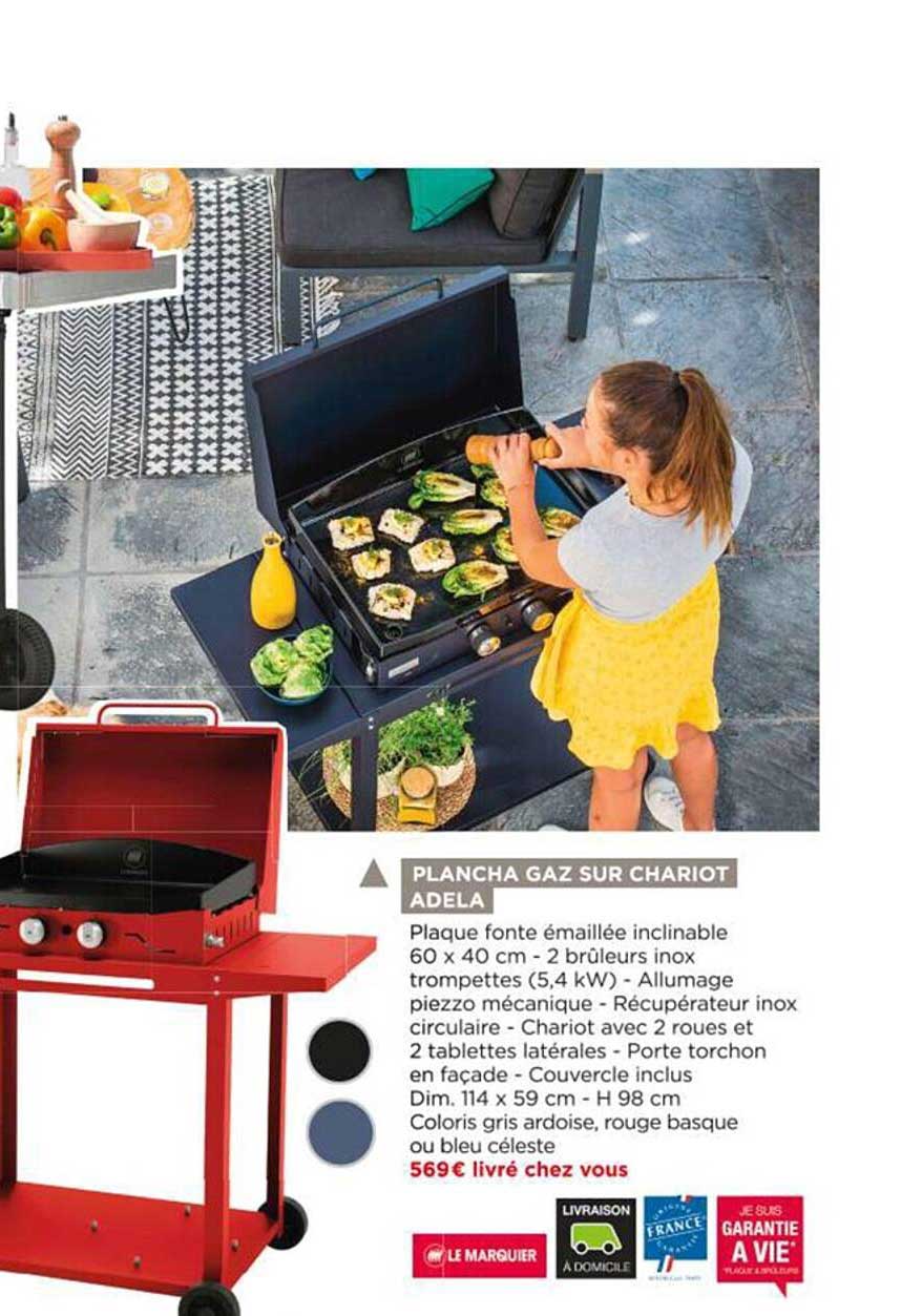 Plancha Gaz Sur Chariot Adela