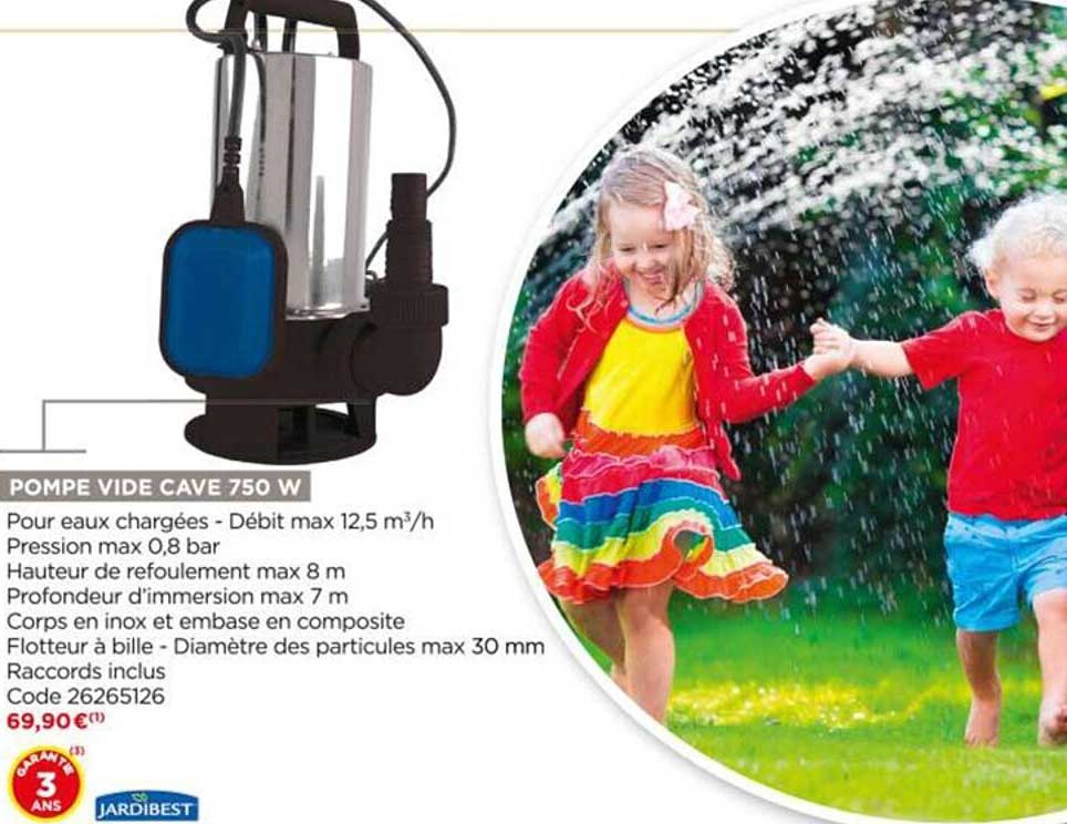 pompe vide cave 750 jardibest