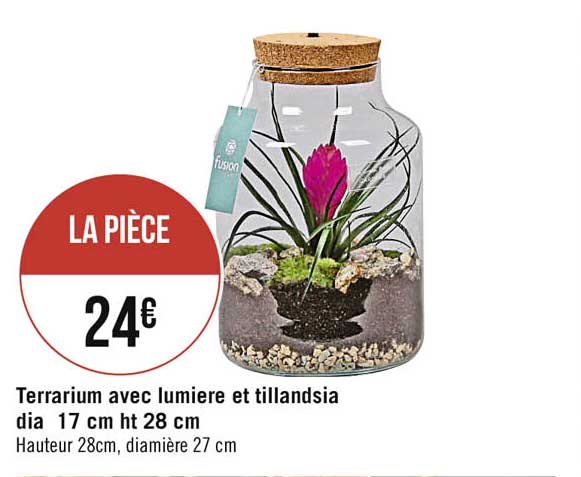 Terrarium Avec Lumière Et Tillandsia Dia 17 Cm Ht 28 Cm