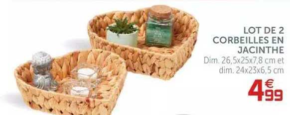 lot de 2 corbeilles en jacinthe