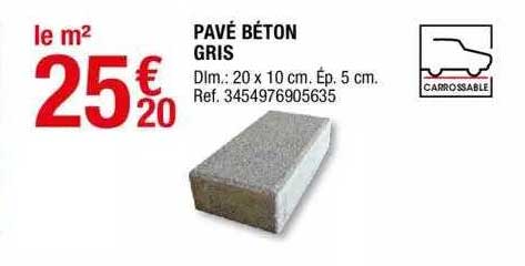 Pavé Béton Gris