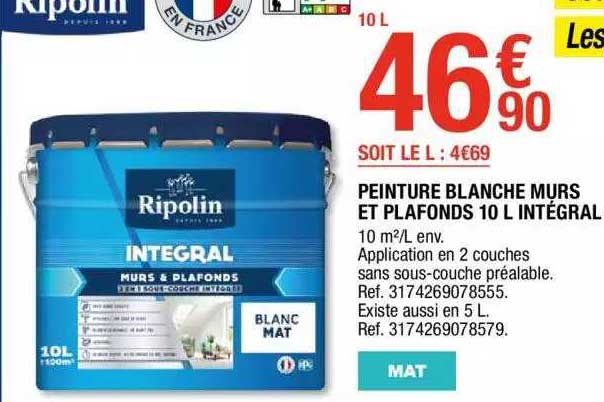 Peinture Blanche Murs Et Plafonds 10 L Intégral