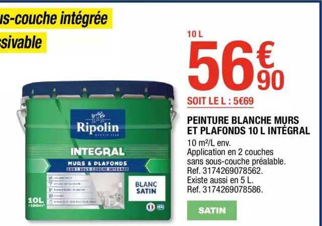 Peinture Blanche Murs Et Plafons 10 L Intégral
