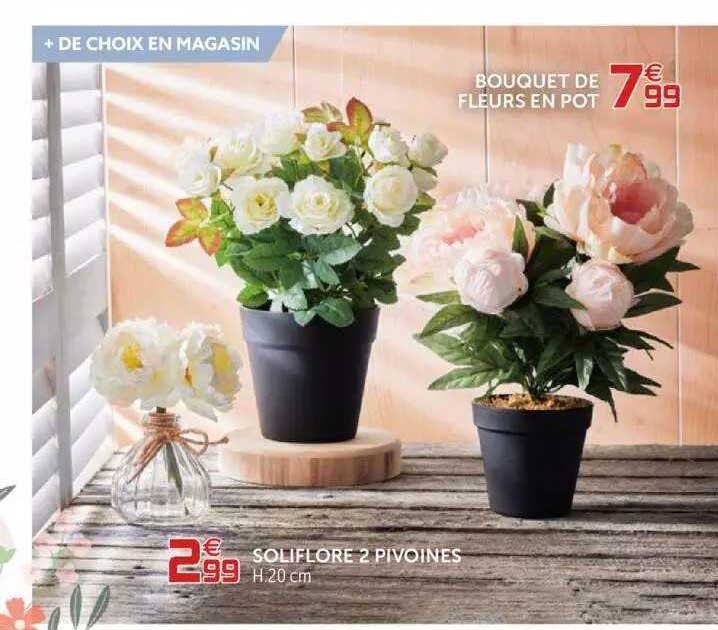 soliflore 2 pivoines, bouquet de fleurs en pot