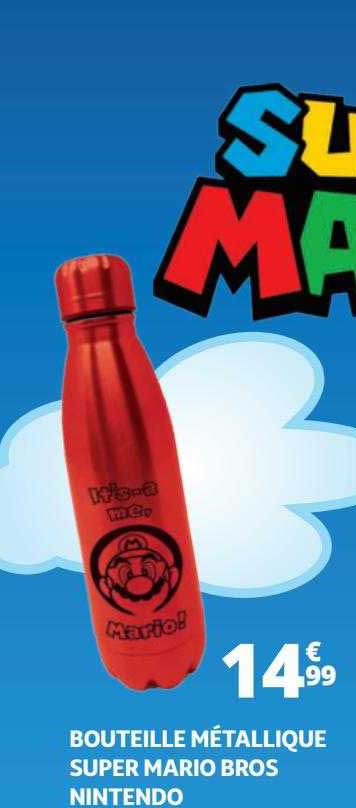 bouteille métallique super mario bros nintendo