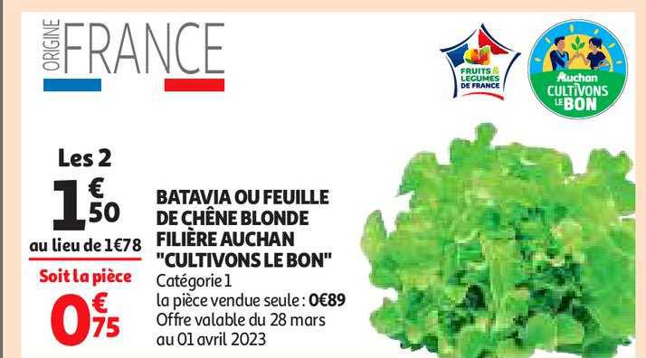 batavia ou feuille de chêne blonde filière auchan "cultivons le bon"