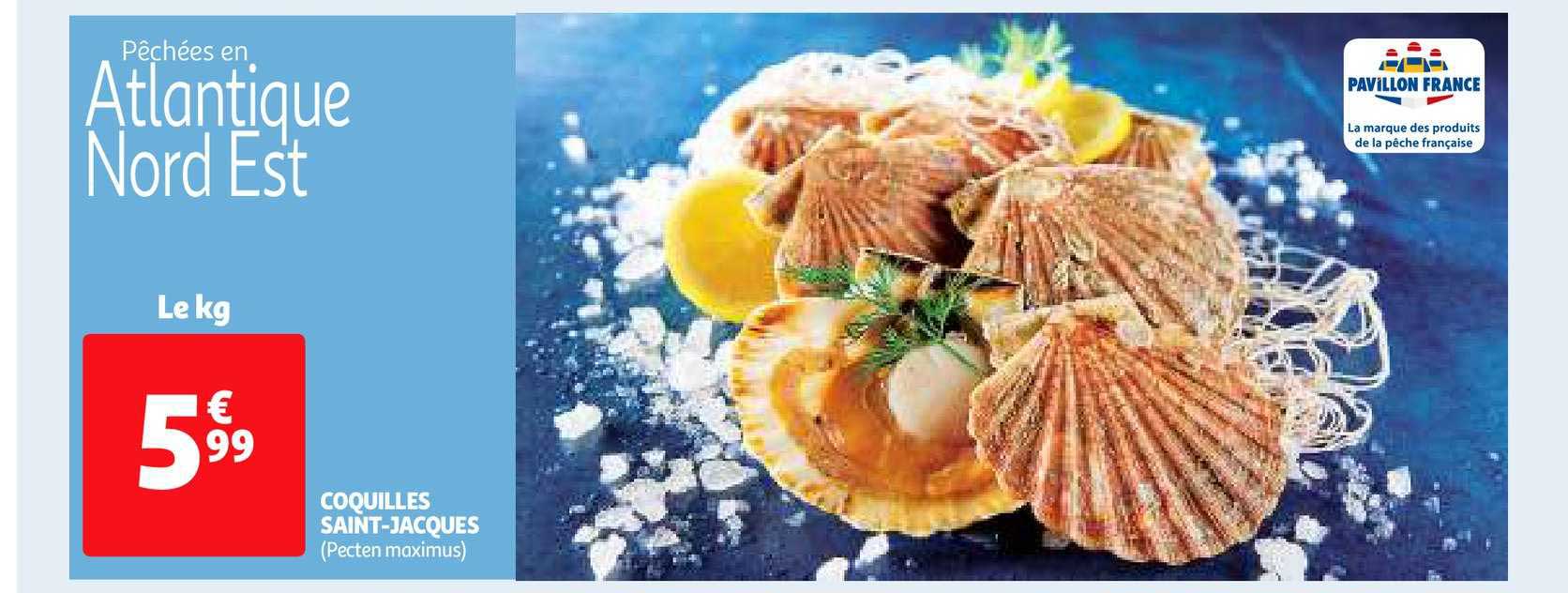 coquilles saint-jacques