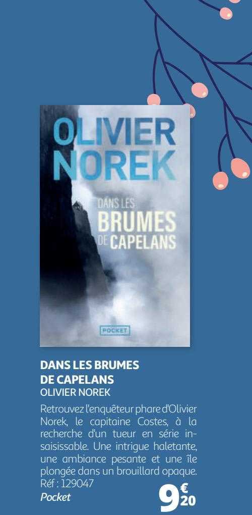 dans les brumes de capelans - olivier norek