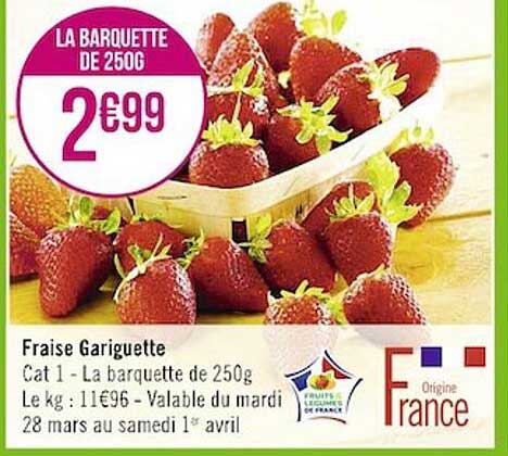 fraise gariguette