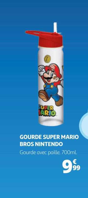 gourde super mario bros nintendo