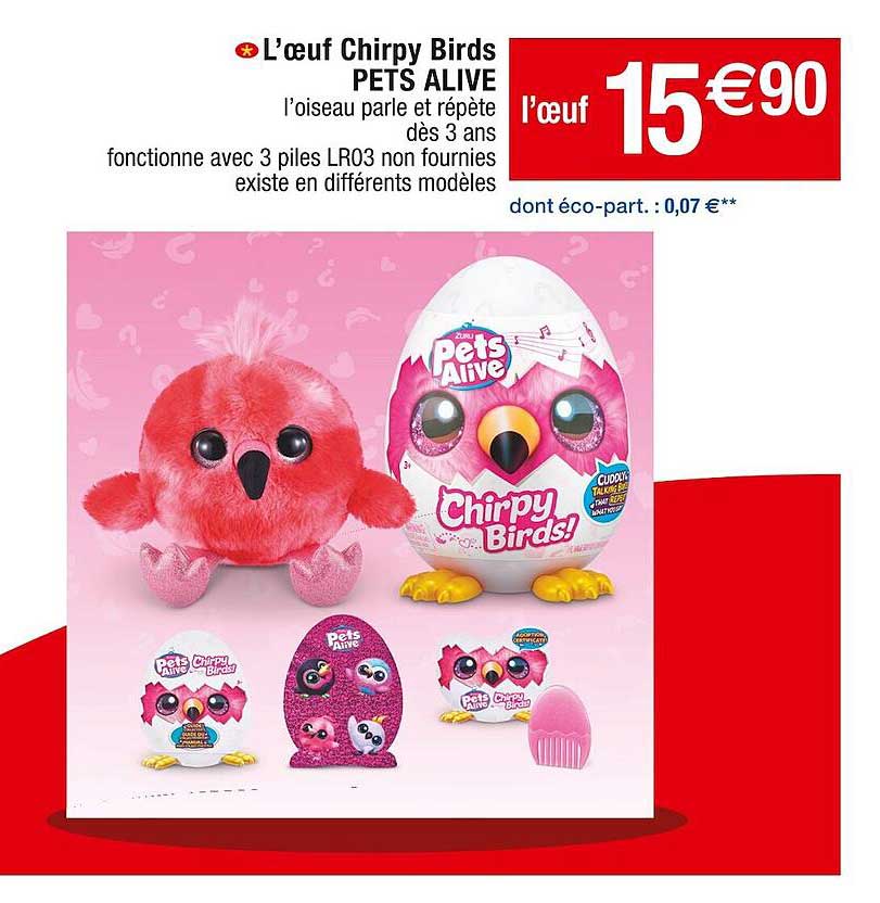 l'œuf chirpy birds pets alive