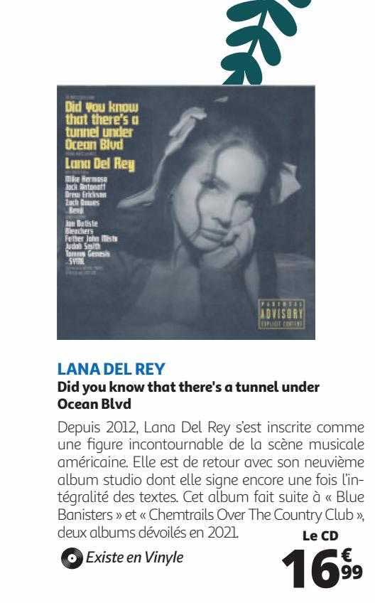 lana del rey - did you know that there's a tunnel under ocean blvd