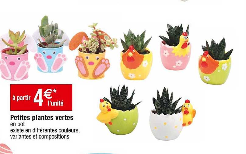 petites plantes vertes