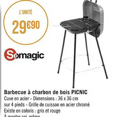 somagic barbecue à chardon de bois picnic