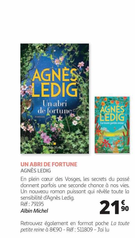 un abri de fortune - agnès ledig