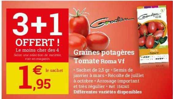 graines potagères tomate roma vf