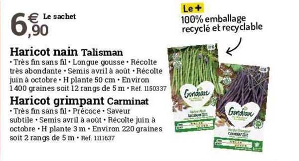 Haricot Nain Talisman Haricot Grimpant Carminat