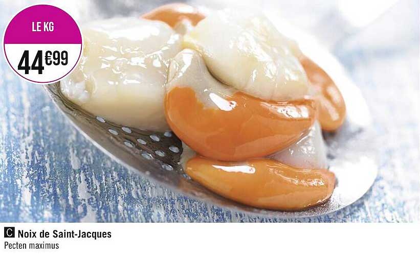 Noix De Saint-jacques