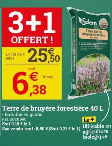 terre de bruyère forestières 40 l solem