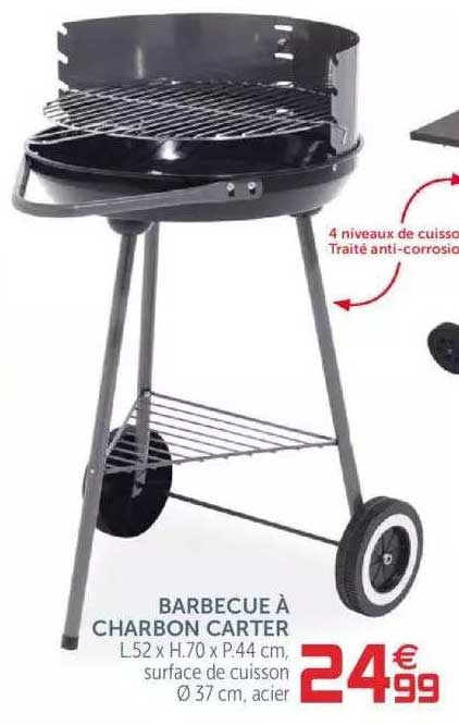 barbecue à charbon carter